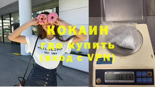 прущие грибы Верхний Тагил