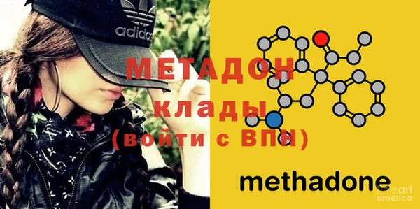 прущие грибы Верхний Тагил